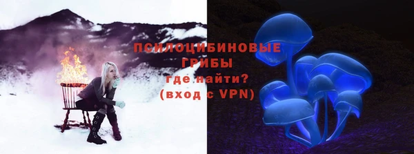 крисы Михайловка