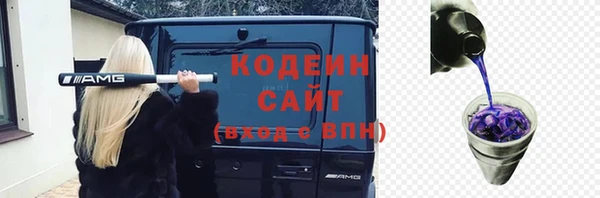 прущие крисы Вяземский