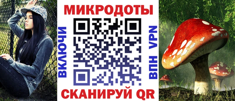 блэк спрут зеркало  Беслан  Псилоцибиновые грибы MAGIC MUSHROOMS 