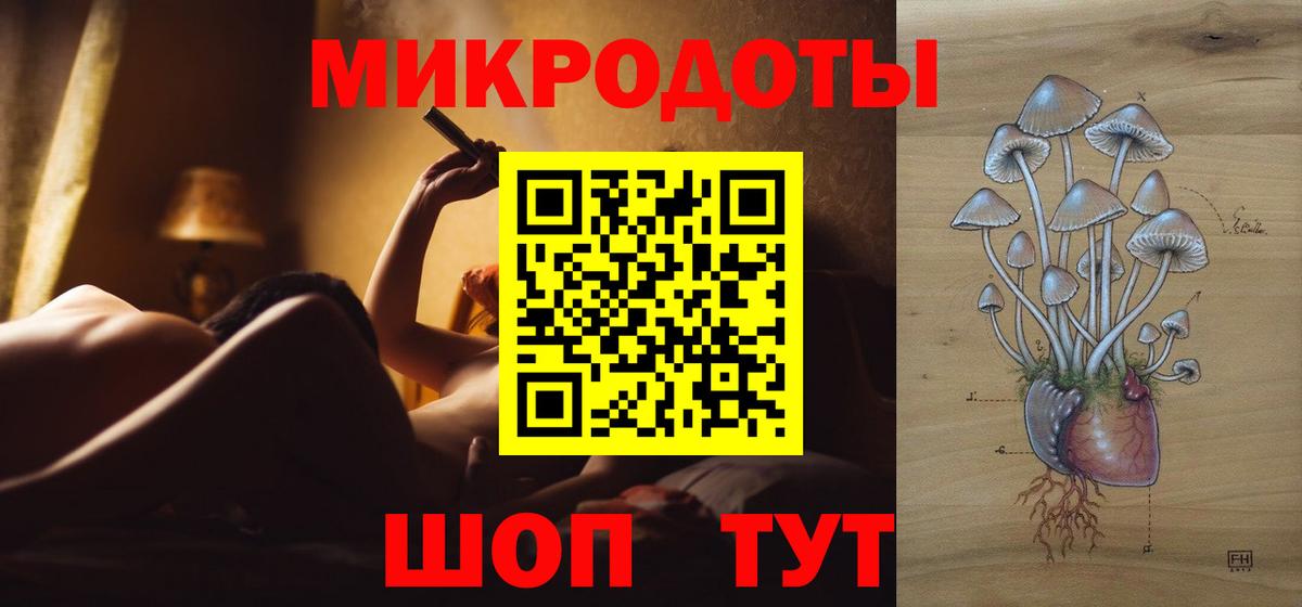 Галлюциногенные грибы Psilocybe  Беслан 